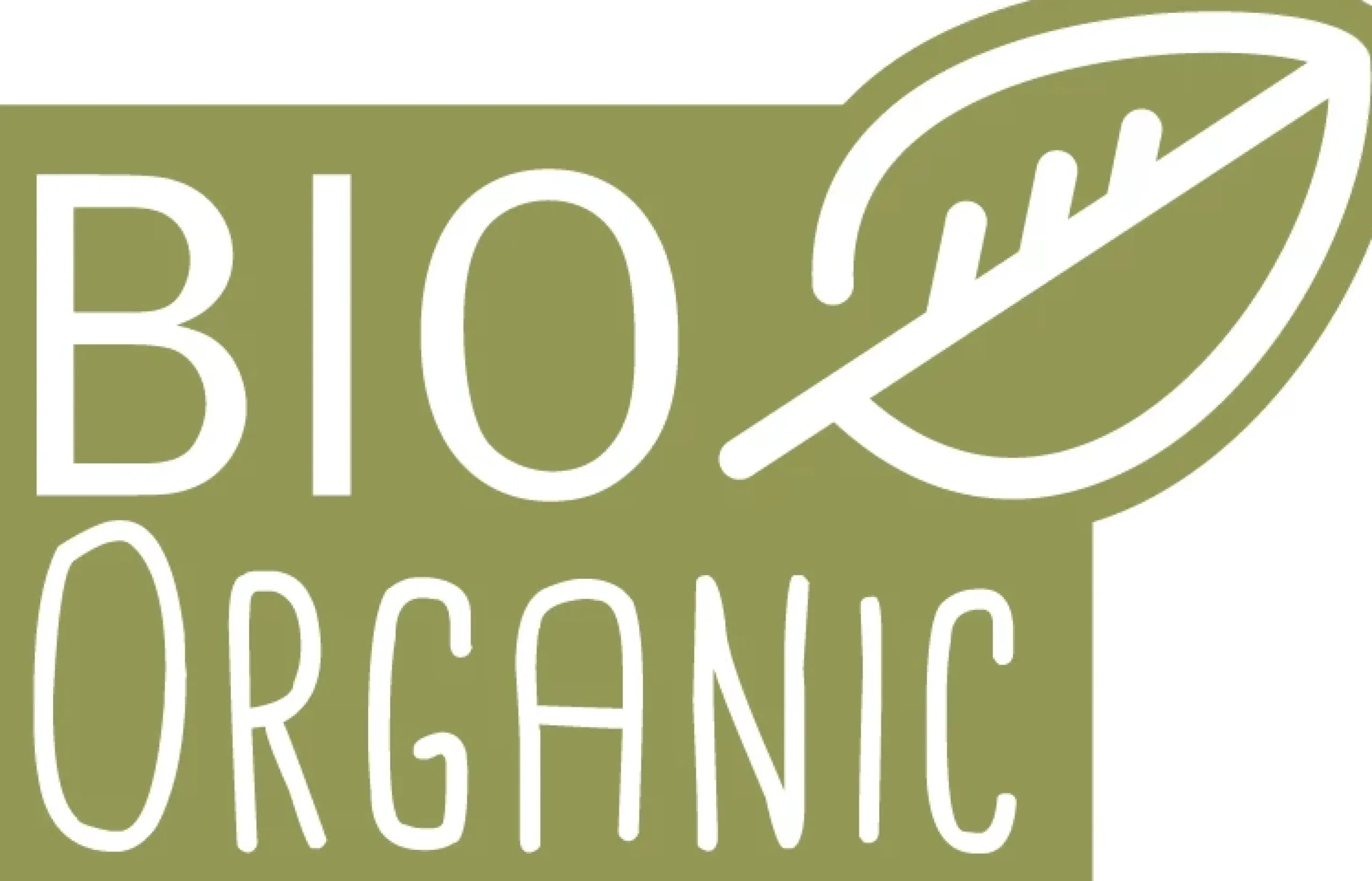 Paradies Kopfkissen>Kopfkissen Lani Bio 40x60 Weiß