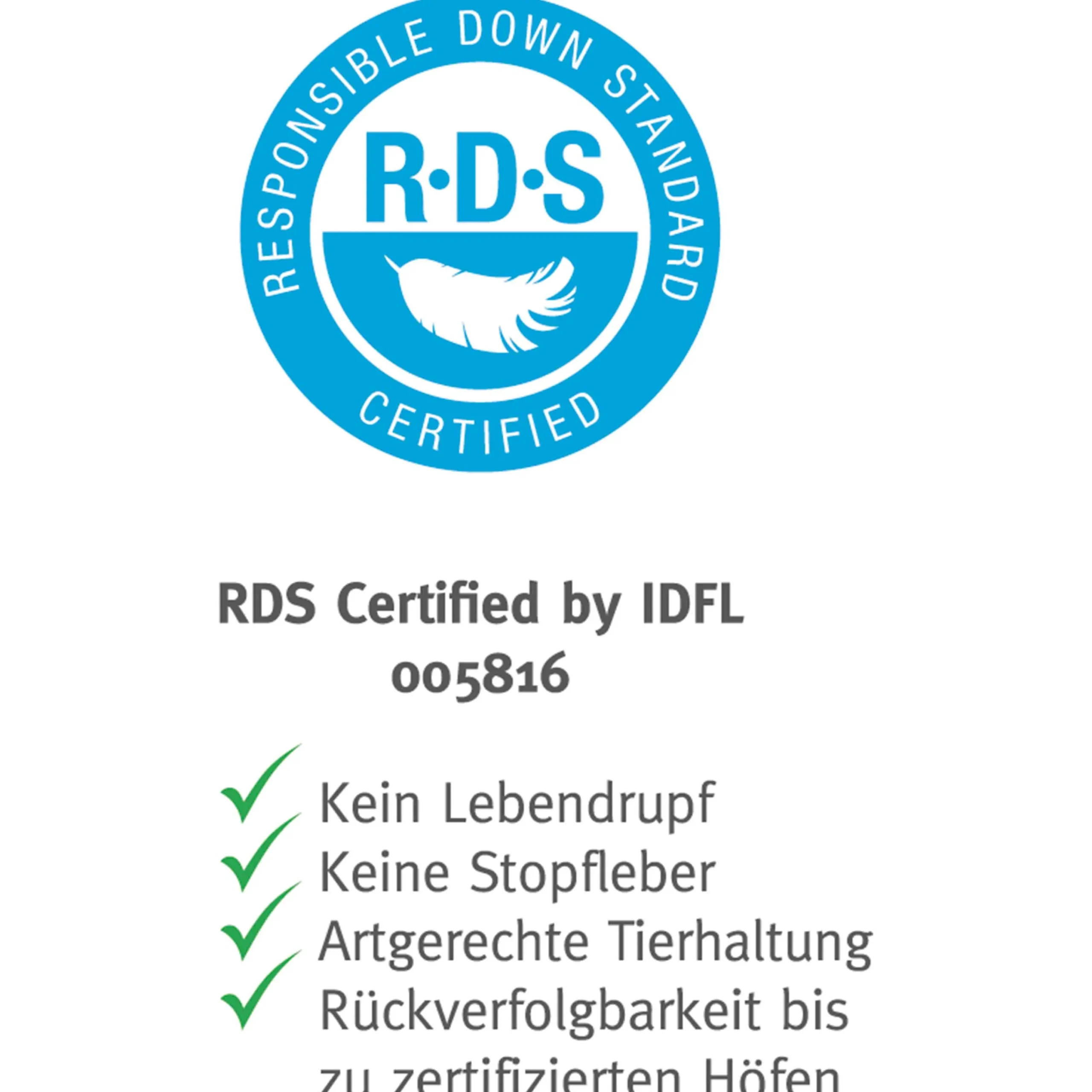 Paradies Kopfkissen>Kopfkissen Malea medium Bio 80x80 Weiß