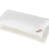 Paradies Kopfkissen>Kopfkissen Softy medium Bio 40x80 Weiß